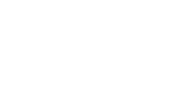 UI Designer
