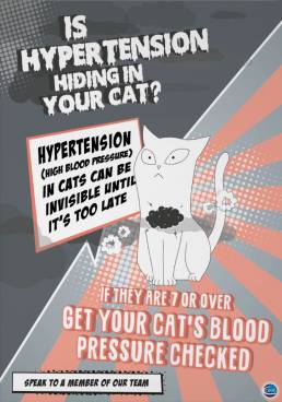 cat hypertension poster design